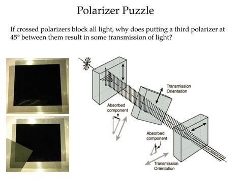 polarization imaging principles and integrated polarimeters|animal polarization imaging.